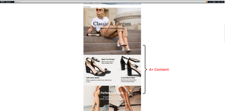 How Product Descriptions Appear on an Amazon Listing 3